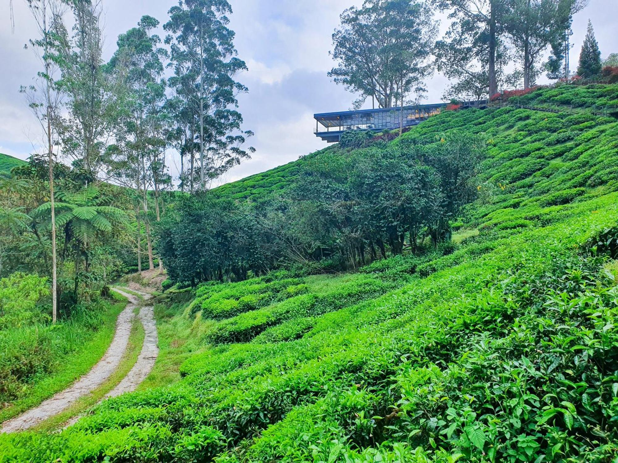 Mossy Forest Family Retreat Ii, 2-8 Pax, Cameron Highlands Exterior photo