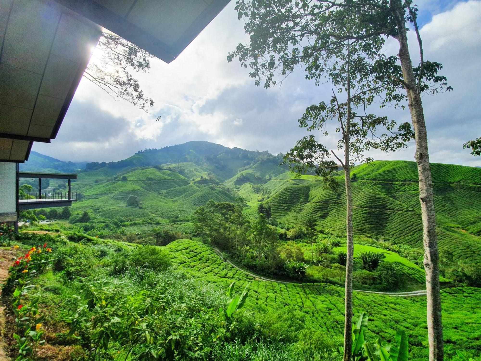 Mossy Forest Family Retreat Ii, 2-8 Pax, Cameron Highlands Exterior photo